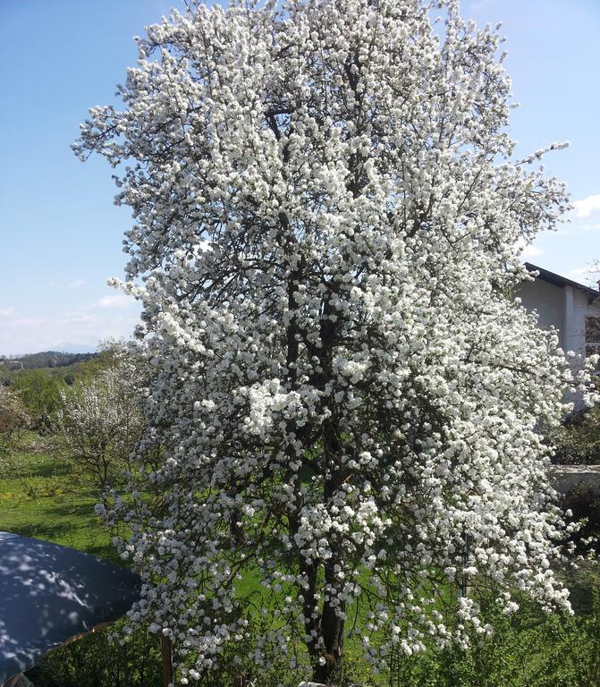 Stadtnahe Landwohnung Klagenfurt am Woerthersee Екстер'єр фото